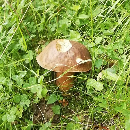 فندق Le Barry Villefranche-dʼAlbigeois