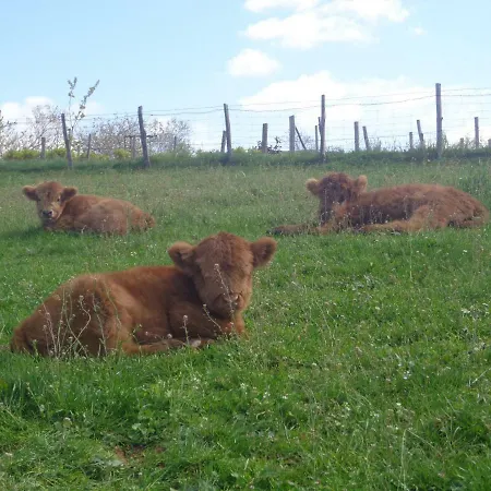 فندق Le Barry Villefranche-dʼAlbigeois
