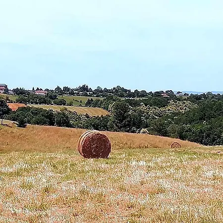 Le Barry Ξενοδοχείο Villefranche-dʼAlbigeois