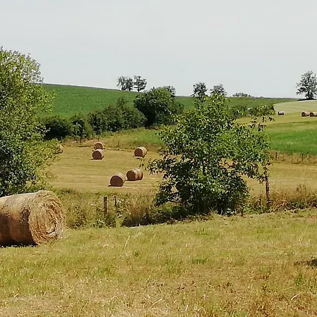 Le Barry Villefranche-dʼAlbigeois