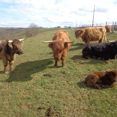 Le Barry Villefranche-dʼAlbigeois