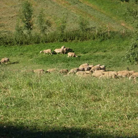 Le Barry Szálloda Villefranche-dʼAlbigeois