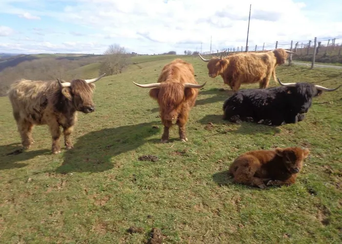 Le Barry Villefranche-dʼAlbigeois
