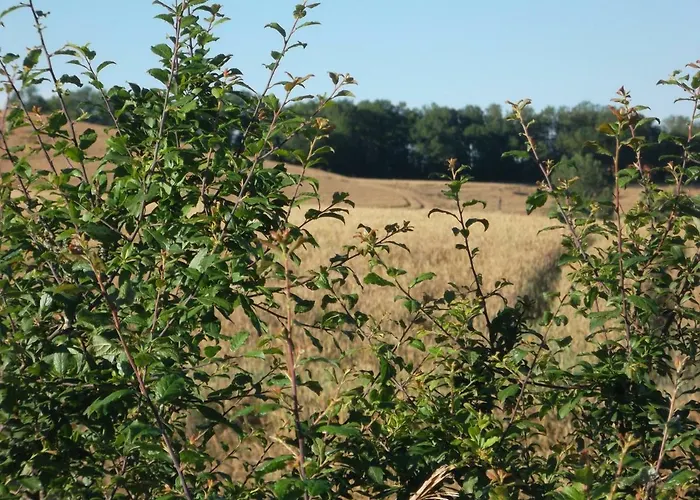 Hotel Le Barry Villefranche-dʼAlbigeois