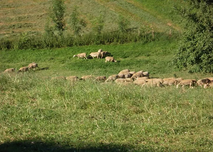 Le Barry מלון Villefranche-dʼAlbigeois