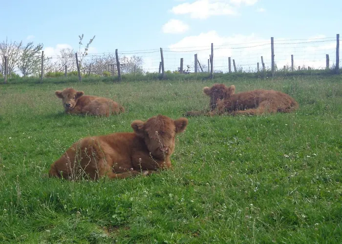Hotel Le Barry Villefranche-dʼAlbigeois